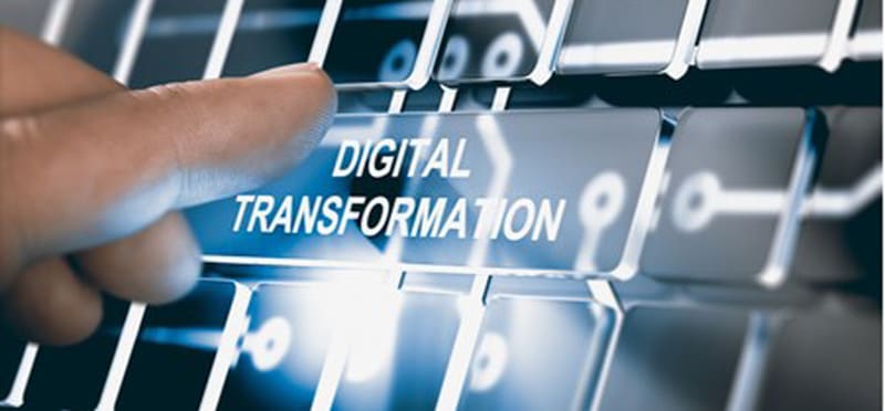 Innovations in Digital Transformation and Digital Sustainability